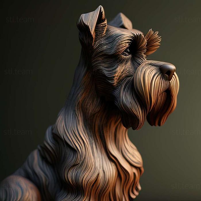 Animals Zwergschnauzer dog